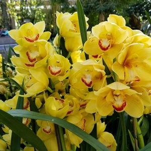 Meet your Posher, Elena